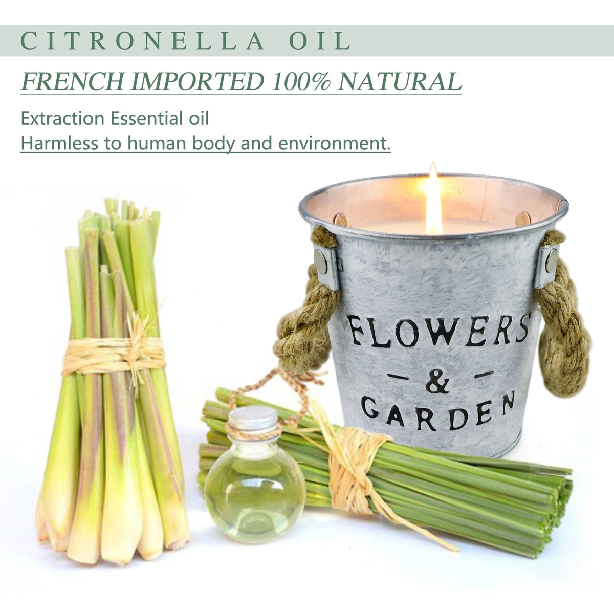 Citronella Berry Fragrance Oil - Nature's Garden Candles